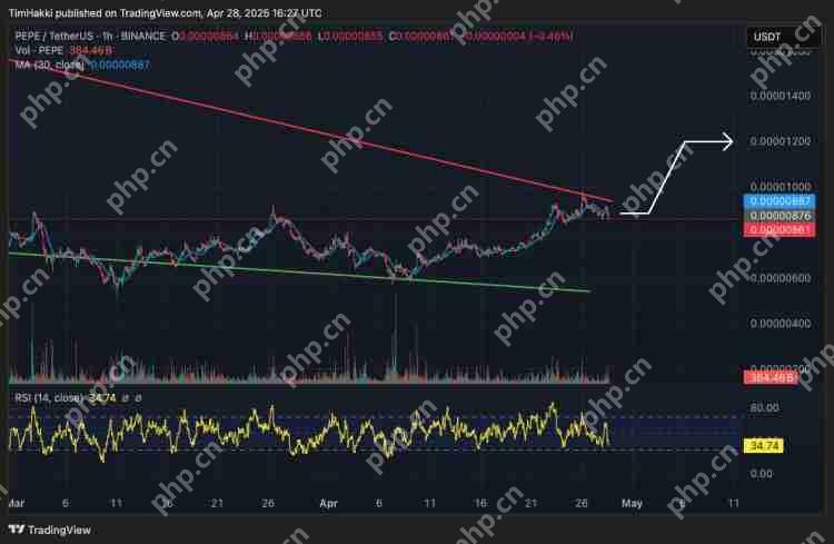 从 $0.001 到 $1？三大不容忽视的迷因币